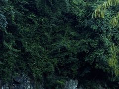 -志闽龙门漂流