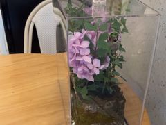 -春树下·树屋花房西餐厅(罍街AS1980店)