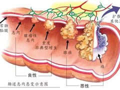 -中国人民解放军总医院