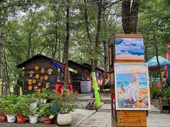 -沂蒙山旅游区云蒙景区(蒙山国家森林公园)