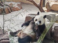 -宁波野生动物园