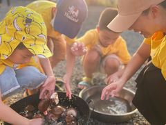 -大果情商(亲藤店)