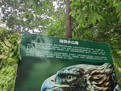 -湖洞水自然风景区