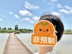 -盐城丹顶鹤湿地生态旅游区