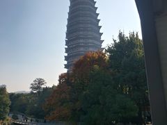 -听松楼-中餐厅.家宴(红梅公园店)