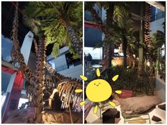 -云南省博物馆