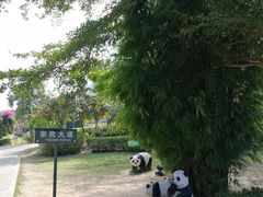 -亚龙湾国际玫瑰谷