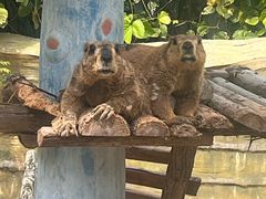 -泉州海丝野生动物世界