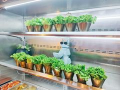 -首尔朴宝·炭火烤肉(五角场店)