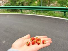 -湖南四明山国家森林公园