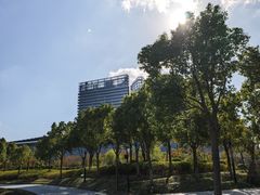 -南汇新城城市公园