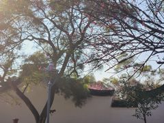 -金鸡山公园
