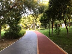 -大兴滨河森林公园