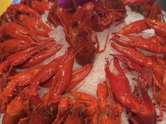 -京悦南门涮羊肉·羊蝎子火锅(田林路店)