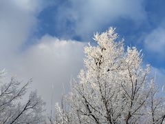 -中旅松花湖滑雪场