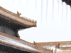 -故宫餐厅(景运门店)