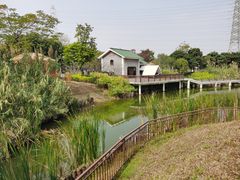 -王借岗森林公园