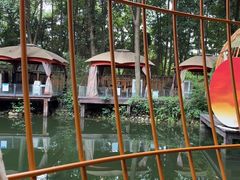 -二荆条·蜀鲜汇城市森林火锅