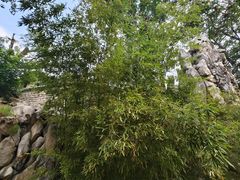 -环城公园