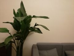 -仰生如卉推拿养生馆(酒仙桥店)