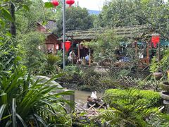 -青城甲(青城山店)