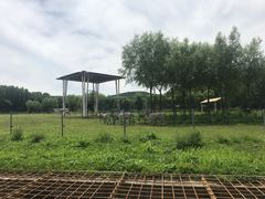 -哈尔滨北方森林动物园