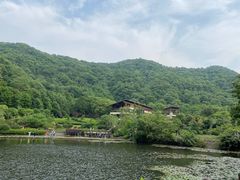 -桃花岭景区