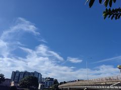 -广东花都湖国家湿地公园