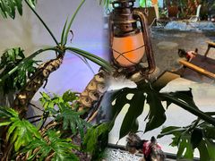 -J Create城市露营咖啡·简餐·宠物(上海动物园店)