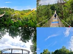 -阿露佳·舌尖上的安吉菜