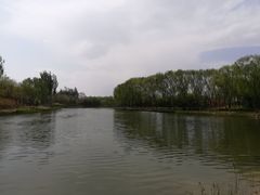 -大兴滨河森林公园