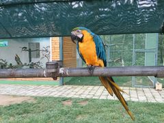 -西霞口神雕山野生动物世界