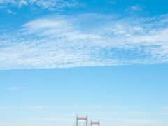 nEO_IMG_DSC_1521-洋山深水港