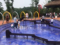 -枫香湖儿童公园