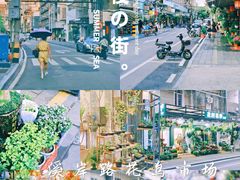 -溪岸路花鸟市场
