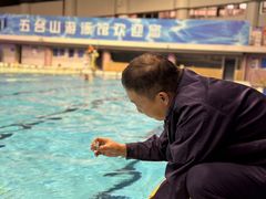 -五台山游泳馆