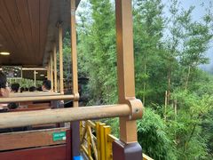 -深圳东部华侨城茵特拉根酒店