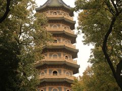 -灵谷景区