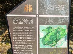 -白水寺森林公园