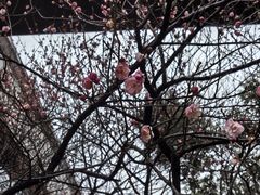 -上海市第十人民医院(总院)