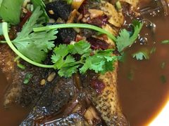 -天乐农家鱼头王(天目湖店)