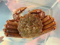 -辉哥火锅(虹桥路店)