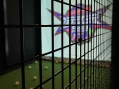 -VS SPORTS PARK运动玩乐园·团建·生日会(合生汇店)