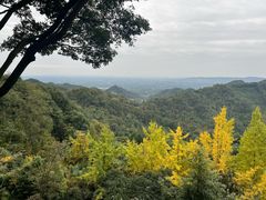 -凤栖山