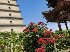 -大慈恩寺(大雁塔)