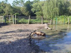 -溱湖国家湿地公园