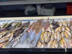 -乐在集市海鲜大排档(平潭店)
