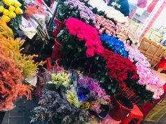 -越秀西湖花市(广州城市广场花卉店)