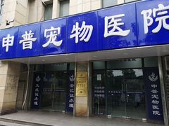 -申普宠物医院·眼科·心内科·影像科(普陀分院)