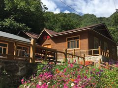 -大岭沟猕猴桃谷风景区